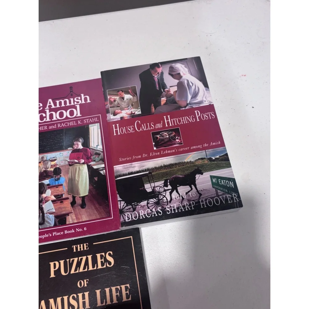 Amish and Mennonite Book Lot of 7 Peoples Place Series History Culture Religion